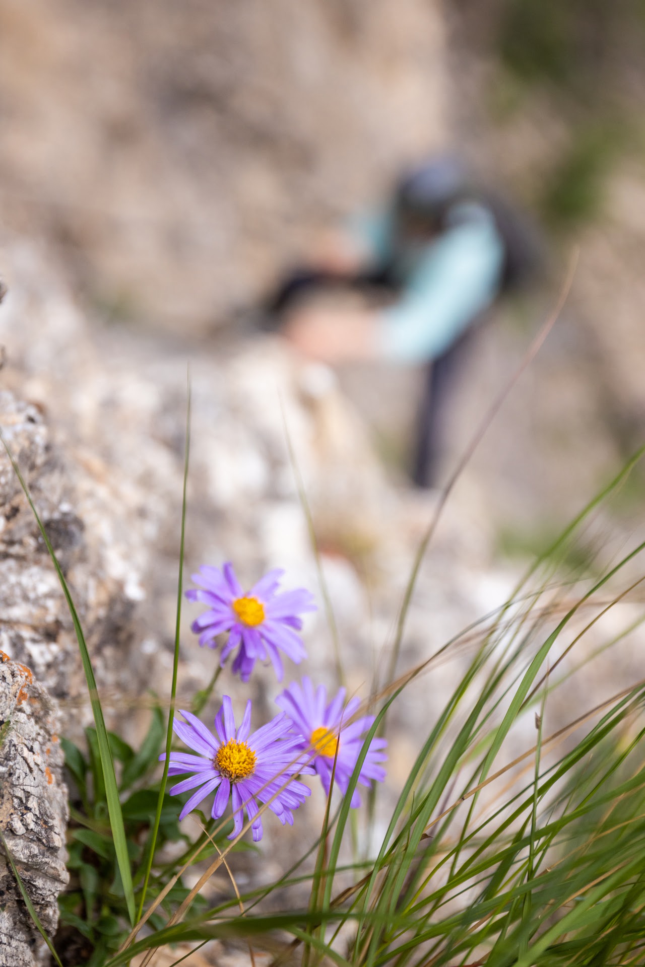 Gorges de la Durance - L'intégrale – Image 9